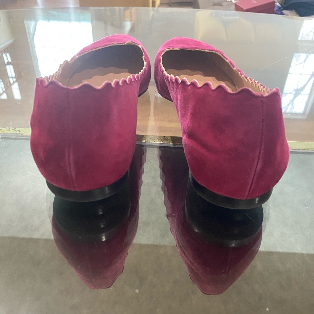 Chloe❌donated❌ - Picture 3 of 8